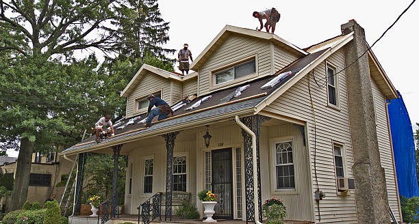 Best Metal Roofing Contractor  in Robbins, NC